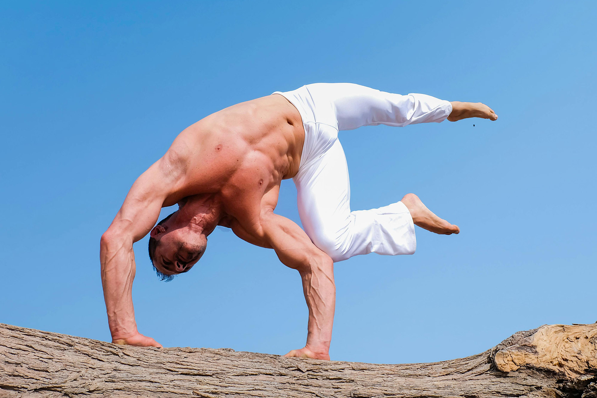 coremuscles | RAD Roller Hungary